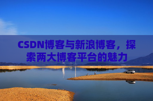 CSDN博客与新浪博客，探索两大博客平台的魅力